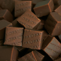 Chocolate Fudge